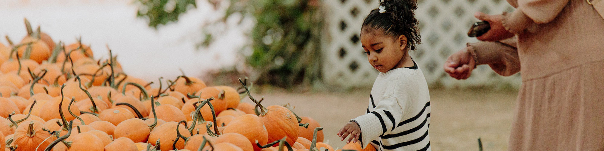 Child Picking Out Pumpkin