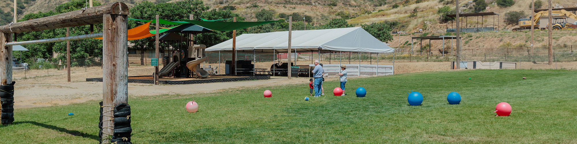 Field Games