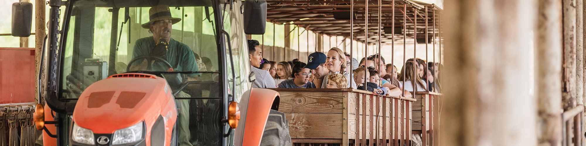 Hayride