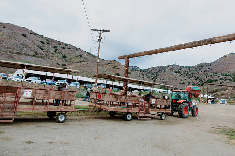 Hayrides