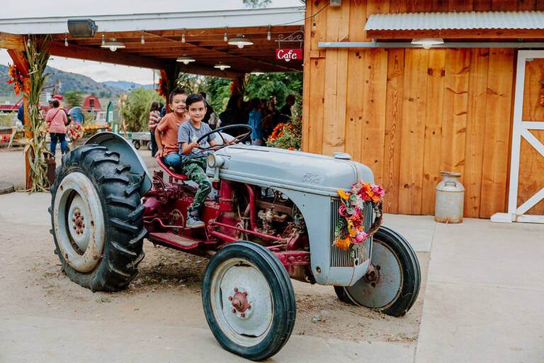 Kids On Tractor